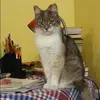 Отзыв от Фаина Коровина